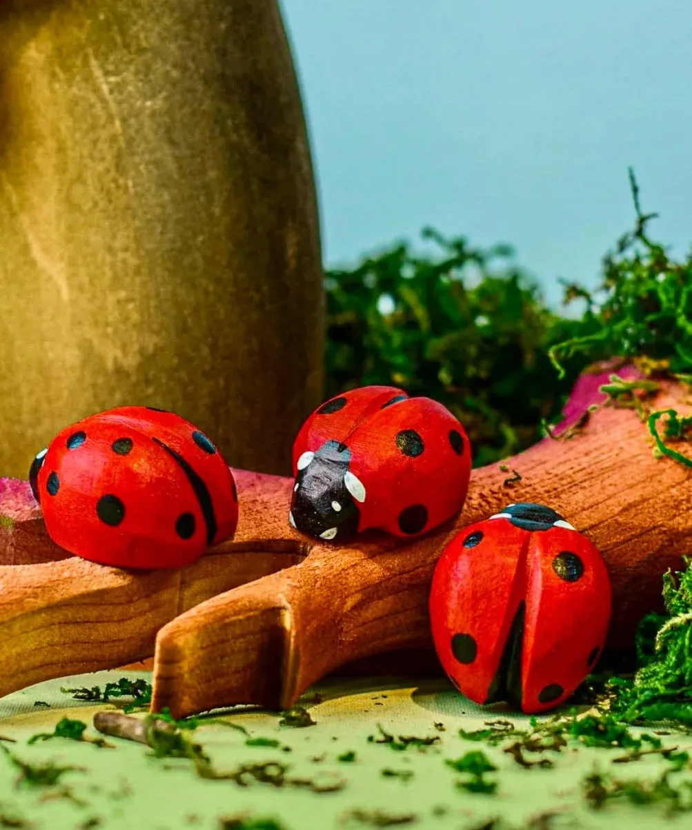 Bumbu Wooden Ladybird