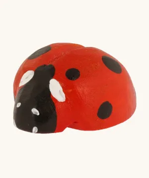 Bumbu Wooden Ladybird