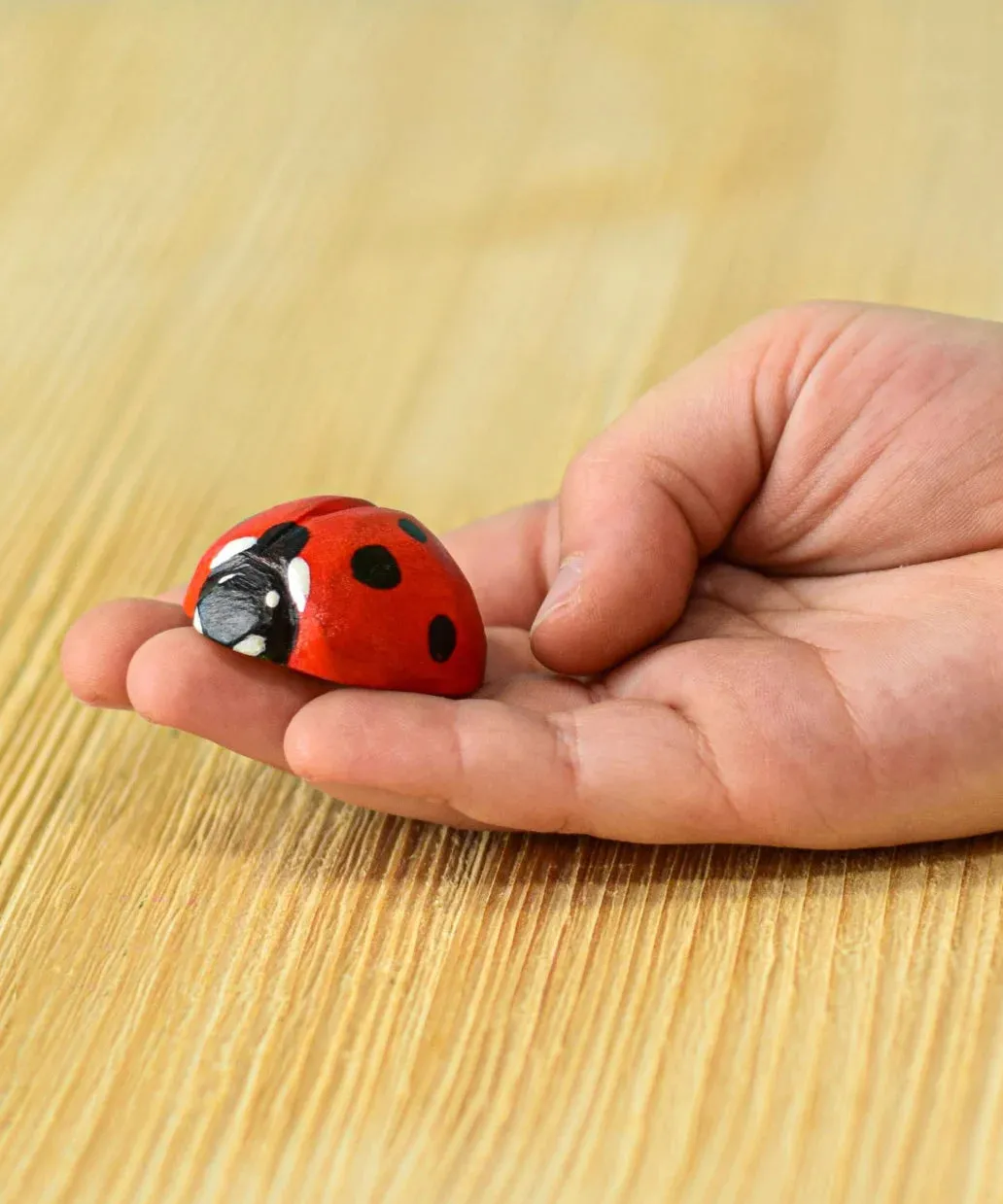 Bumbu Wooden Ladybird