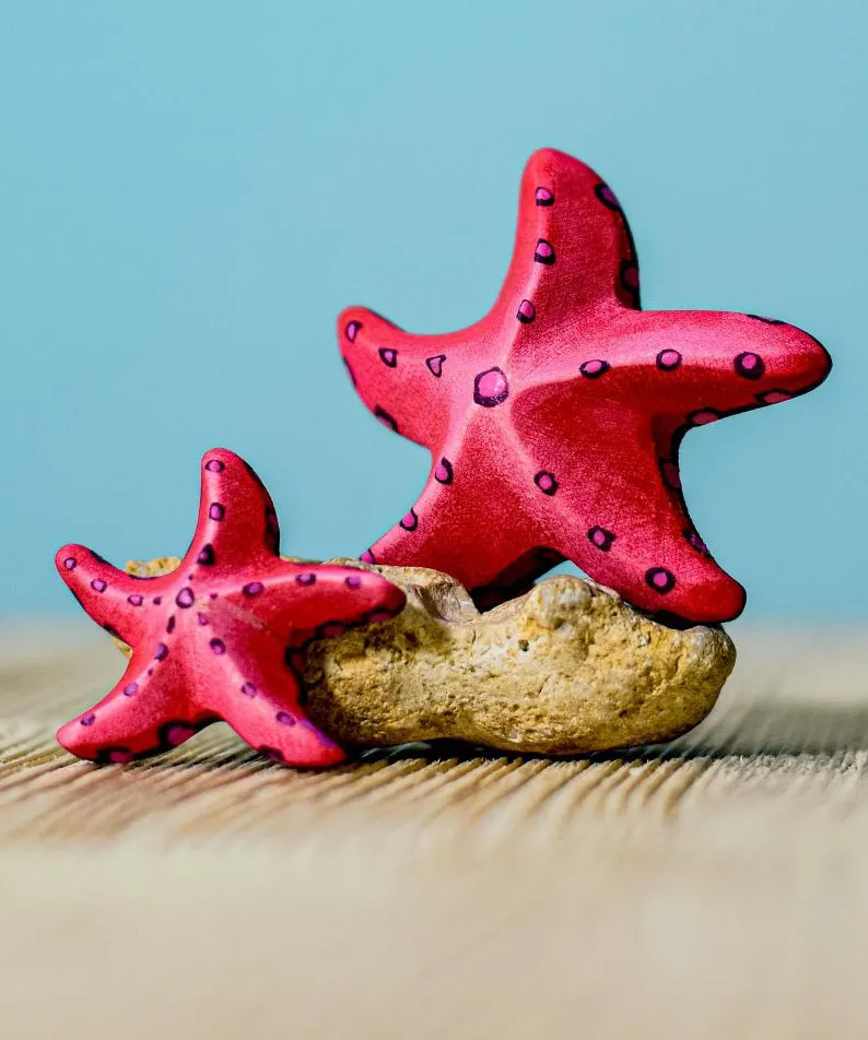 Bumbu Wooden Red Starfish Set