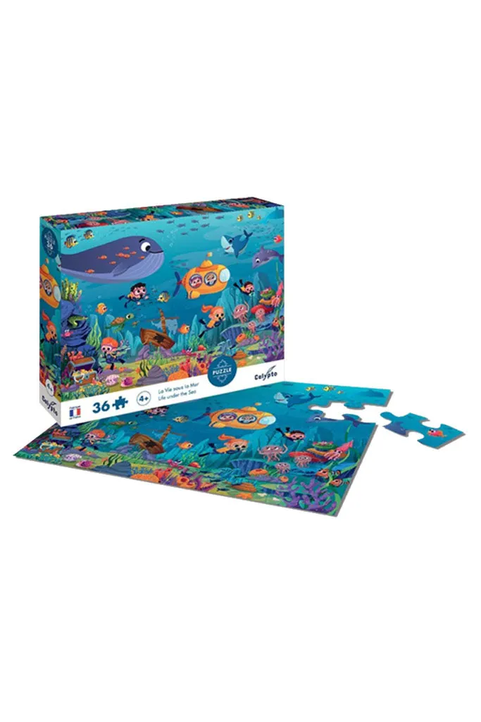 Calypto Puzzle - La Vie sous la Mer (Life Under The Sea)