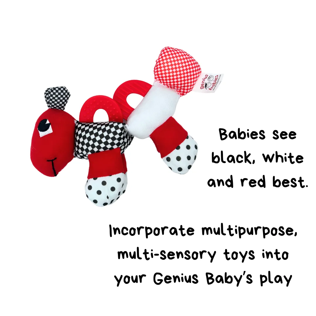 Caterpillar Teething and Sensory Toy in Black, White and Red, 9"