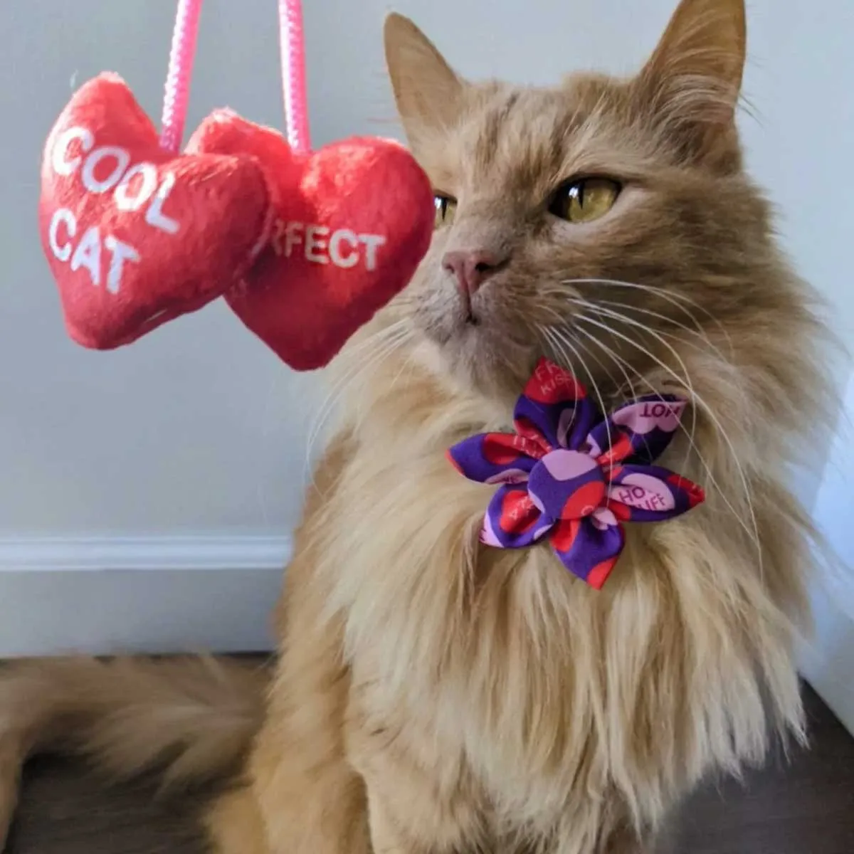 Heart Strings Plush Catnip Toy