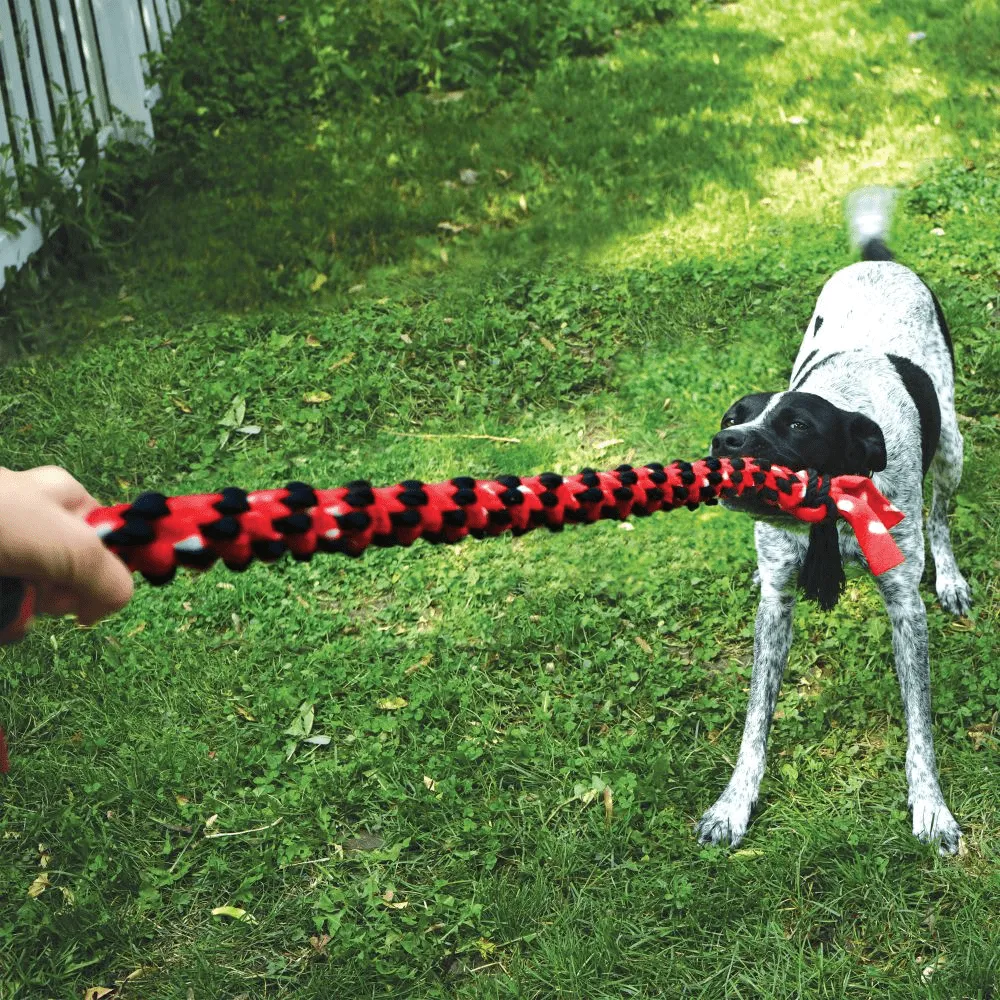 Kong Signature Rope Double Tug Toy for Dogs