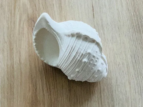 Lanco Karacola Whelk Shell Bath Toy (White)