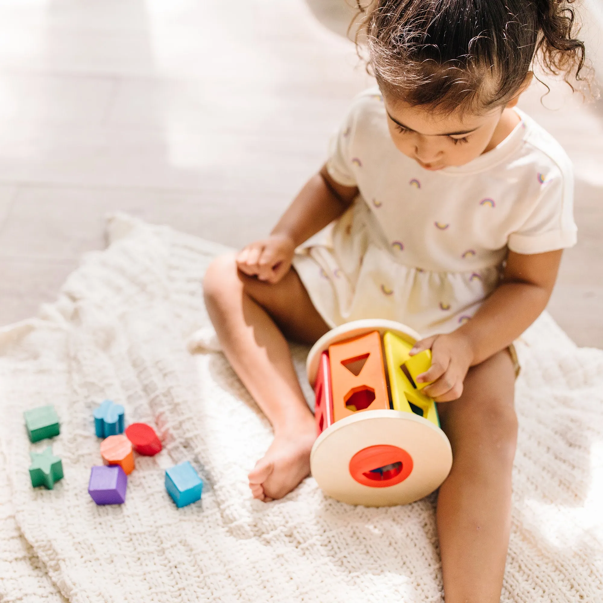 Match and Roll Shape Sorter