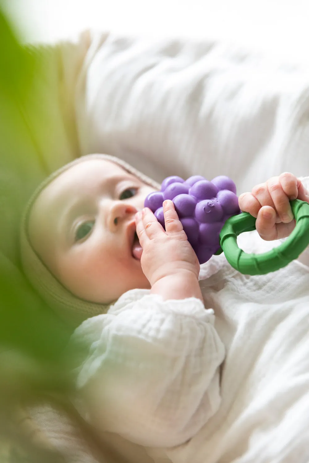 Oli & Carol Grape Rattle Teether