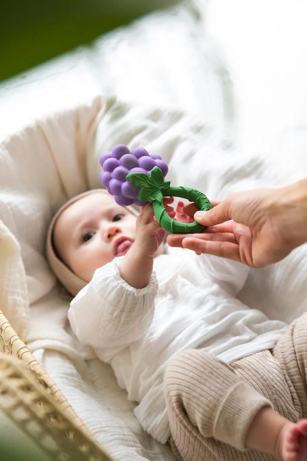 Oli & Carol Grape Rattle Teether