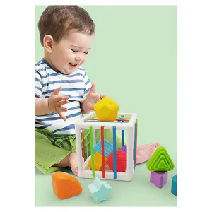 Shape Sorter Montessori Educational Toys With 10 Blocks - Multicolor